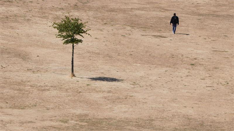 Die Hitzewelle des vergangenen Sommers wirkt sich auch auf die Konjunktur aus. (Symbolbild)