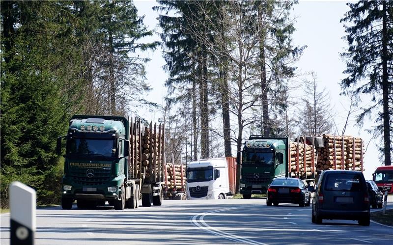 Kein Kampf gegen Borkenkäfer mehr im Harz Die Holzlaster transportieren das „Käferholz“ aus dem Harz in die ganze Welt, es findet reißenden Absatz.  Fotos: Seltmann