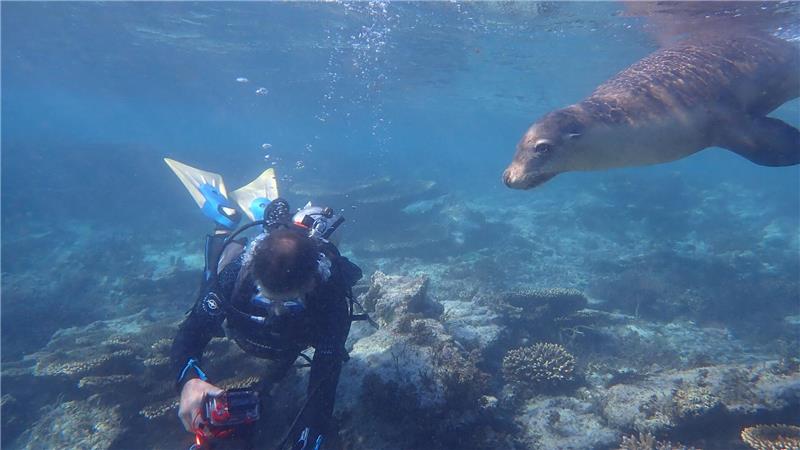 Korallen trotzen mariner Hitzewelle vor Westaustralien Die Houtman-Abrolhos-Inseln liegen vor der Küste von Westaustralien.