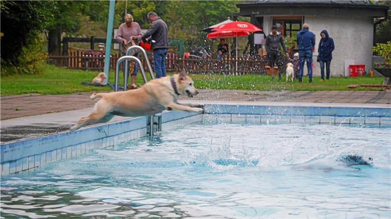 Im Wildemanner Spiegelbad gehen Hunde bei Hundewetter baden Die Hunde springen fröhlich in die Fluten. Foto: Privat