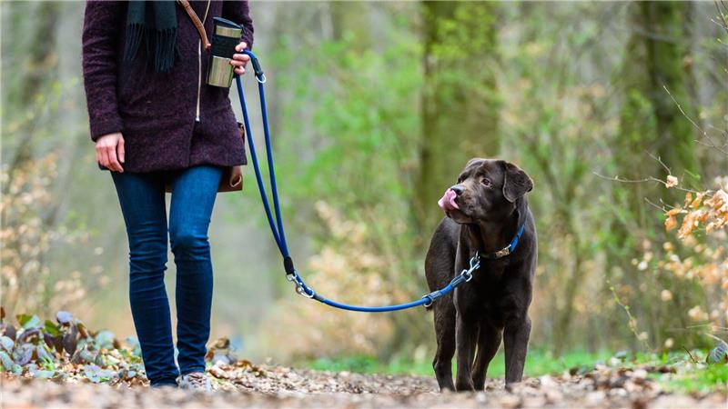 Ein dunkler Hund steht mit seinem Frauchen am Waldweg, während sie seine blaue Leine und eine Tasse hält.