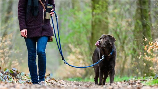 Ein dunkler Hund steht mit seinem Frauchen am Waldweg, während sie seine blaue Leine und eine Tasse hält.