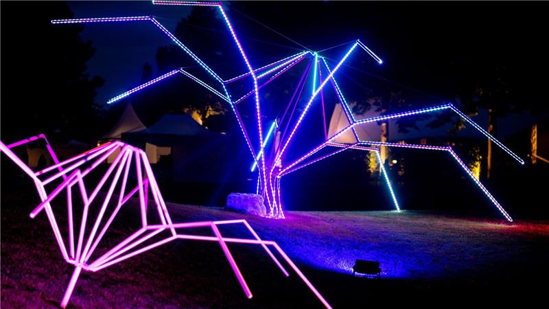 Die Illumination ist bis zum 10. September zu sehen, jeweils bis Mitternacht. 