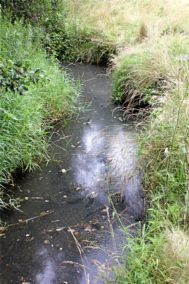 Harzkreis verbietet Wasserentnahme Die Innerste bei Kunigunde im Sommer 2021. Foto: Kühlewind