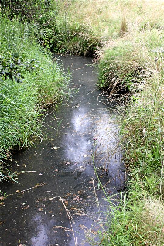 Die Innerste bei Kunigunde im Sommer 2021. Foto: Kühlewind