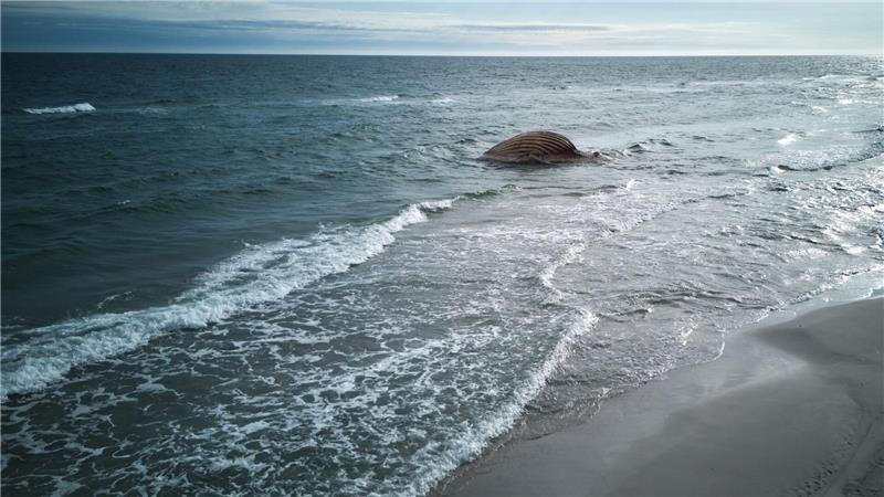 Die Insel ist ein beliebtes Urlaubsziel. Der verwesende Wal-Kadaver stört Anwohner und Badegäste. Deshalb soll er entfernt werden, 