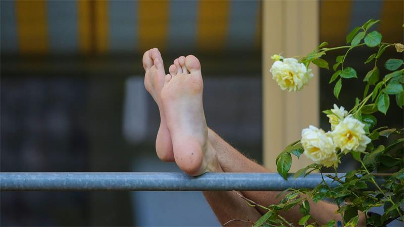 Die Internationale Gartenausstellung IGA sucht den schönsten Balkon im Ruhrgebiet. (Symbolbild)