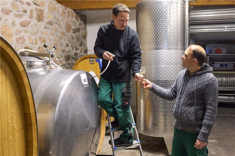 Junge Weinbaubetriebe setzen neue Schwerpunkte Die Jungwinzer Thomas (r) und Martin Phillips arbeiten im Weinkeller. Die Brüder bauten den Weinbau-Hobbybetrieb ihrer Eltern von 0,3 Hektar zu einem Vollerwerbsbetrieb mit rund sechs Hektar aus.