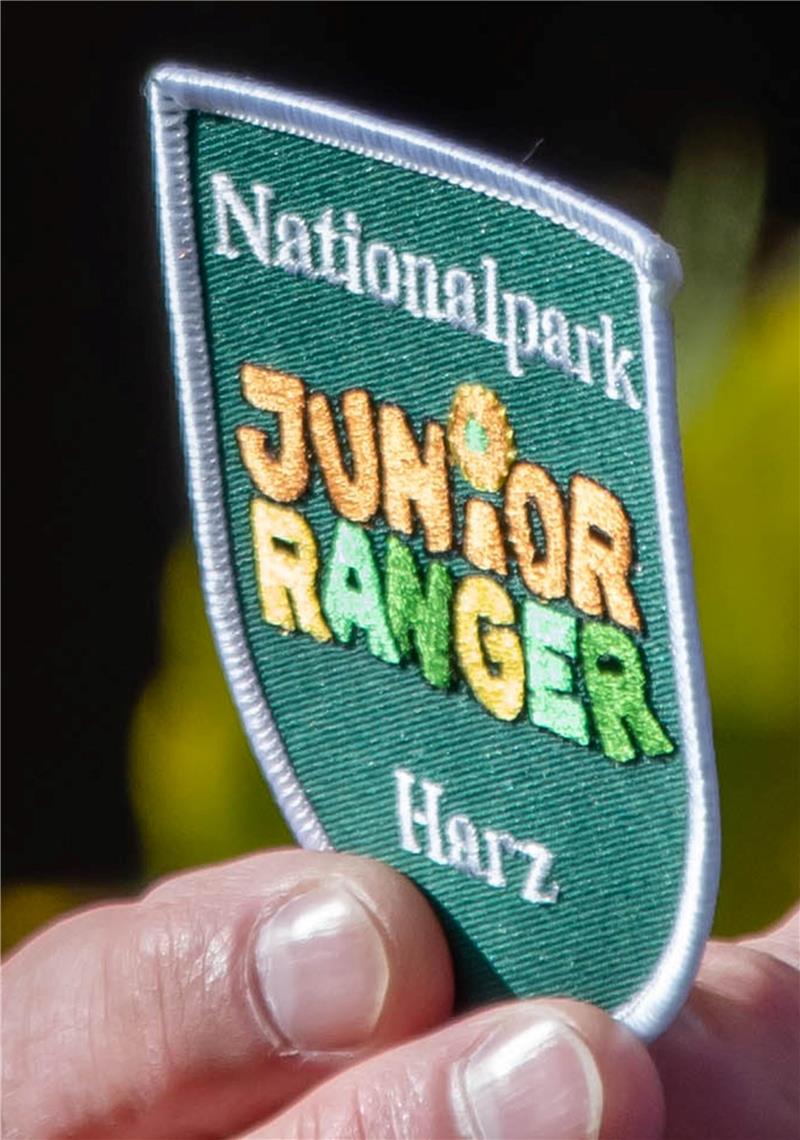 Die Junior Ranger im Nationalpark Harz erhalten ein Abzeichen. 