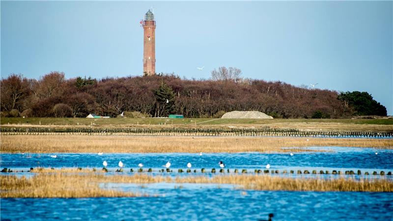 Die Kabel der Netzanbindungssysteme BalWin1 und BalWin2 verlaufen unter der Insel Norderney hindurch. (Archivbild)