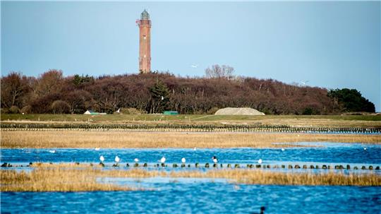 Die Kabel der Netzanbindungssysteme BalWin1 und BalWin2 verlaufen unter der Insel Norderney hindurch. (Archivbild)