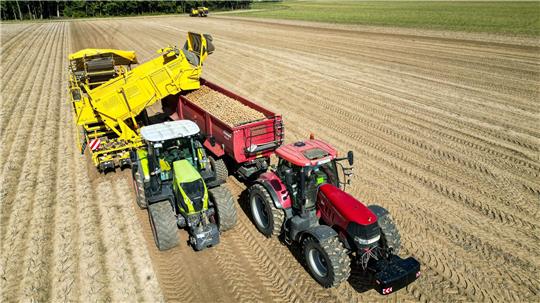 Die Kartoffelbauern haben in diesem Jahr eine sehr gute Ernte eingefahren - es sind sogar zu viele Kartoffeln, die Preise sind relativ schlecht. (Archivfoto)