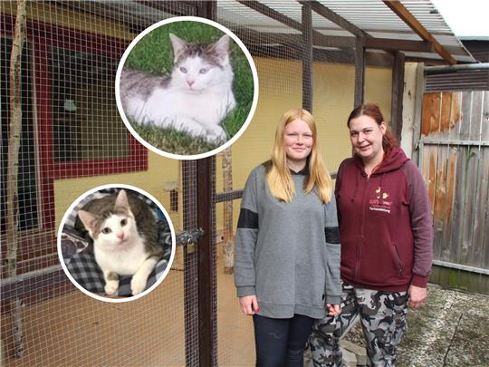 Die Kater Leo und Pablo werden noch vermisst. Tierheimleiterin Stefanie Hendrysiak (re.) und Mitarbeiterin Annalena Thorman bitten die Öffentlichkeit um Hilfe. Fotos: Fricke/privat