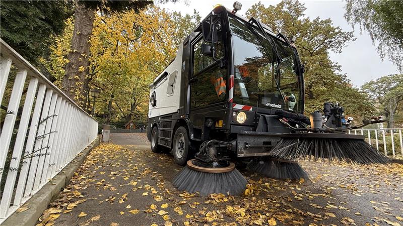 Wo sollen die Bad Harzburger mit dem Herbstlaub hin? Die Kehrmaschinen sammeln in diesen Tagen pro Tag zusammen 46 Kubikmeter Laub auf.