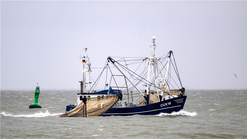 Nordseegarnelen sind knapp und Krabbenbrötchen teuer Die Krabbenfischer an der deutschen Nordsee blicken erneut auf ein sehr schlechtes Jahr zurück (Archivbild).