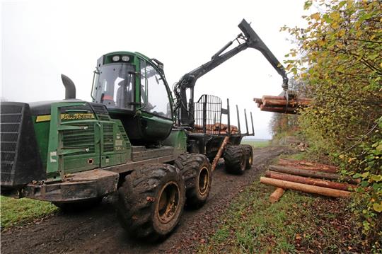 Die L 500 zwischen Bodenstein und Lutter am Barenberge ist von Montag an wegen Baumfällarbeiten gesperrt. Symbolfoto: Gereke