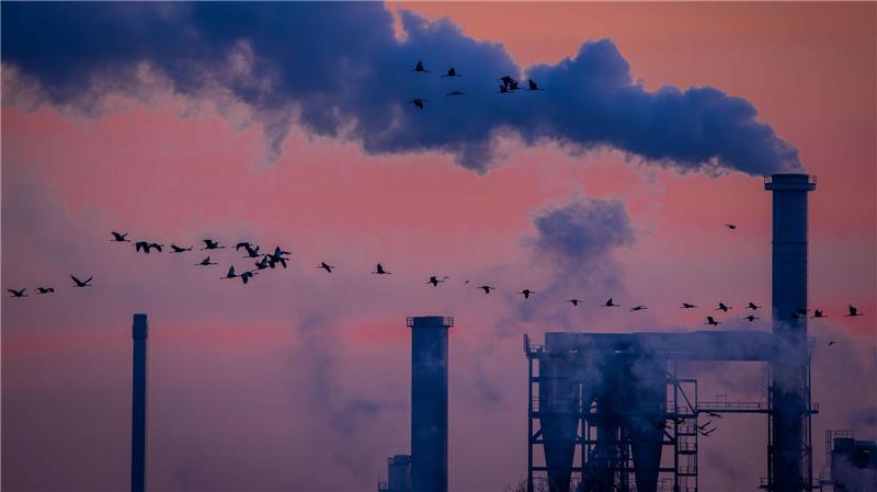 Mühsam aus der Krise - Industrie streicht über 120.000 Jobs Die Lage der Industrie ist angespannt, 2026 drohen neue Einschnitte. (Symbolbild)