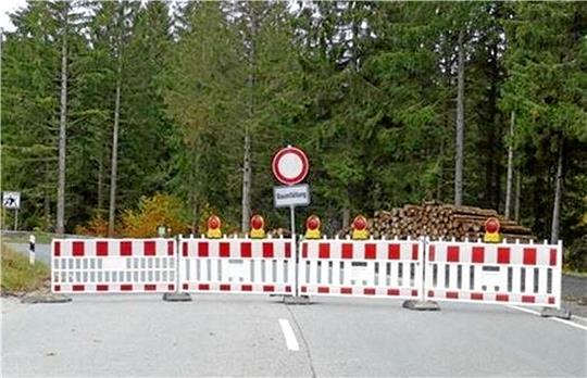 Die Landstraße 515 zwischen Lautenthal und Wildemann wird von Montag bis zum 25. Oktober wegen Baumfällungen gesperrt. Foto: Landesforsten