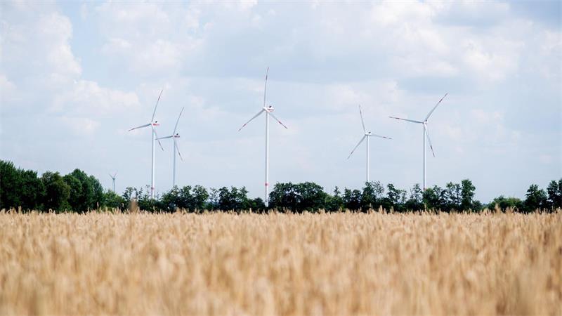 Die Landwirte erwarten weniger Ertrag. 