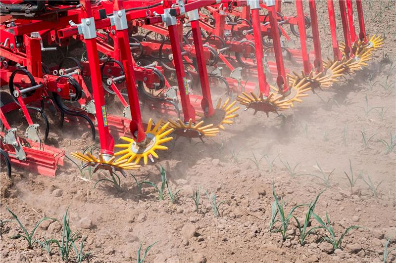 Hacken und Striegeln statt Chemie: Renaissance alter Technik Die Landwirtschaftlichen Lehranstalten Bayreuth und die Maschinenringe Oberfranken stellen mechanische Hacktechnik als Alternative zu Kunstdünger und chemischer Unkrautbekämpfung vor.