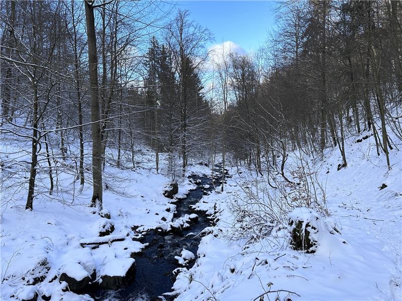 Die Leiche wird am Samstagmittag im Riefenbach gefunden. Das Foto zeigt den Bach, aber nicht den genauen Fundort. Foto: Schlegel