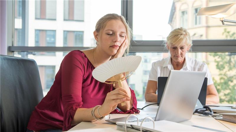 Die Leistungsfähigkeit kann bei hohen Temperaturen leiden.