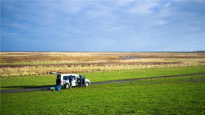 Die Leybucht ist nach dem Dollart die zweitgrößte Meeresbucht in Ostfriesland. 