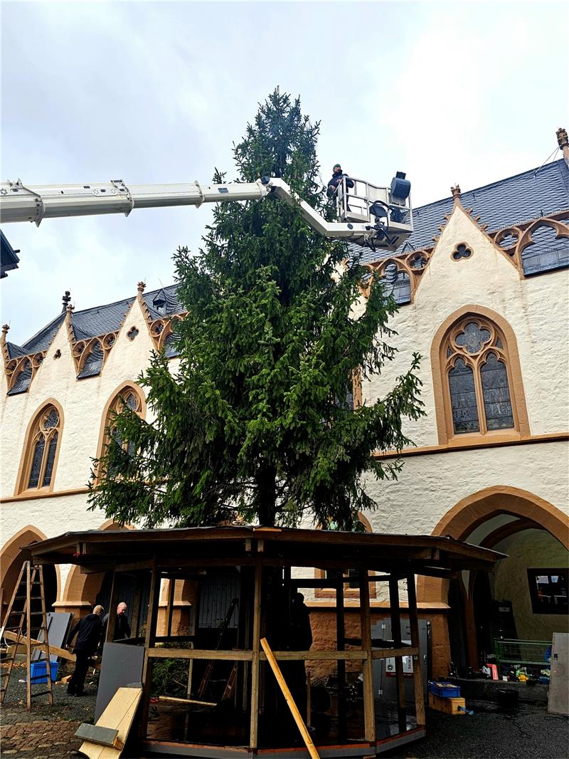 Goslarer Weihnachtsmarkt: Heiße Phase hat begonnen Die Marktplatzfichte steht. Foto: Sowa