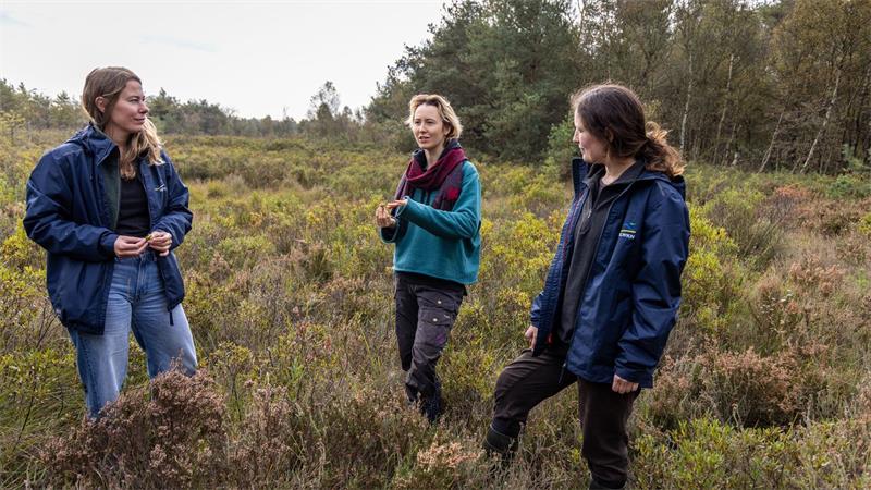 „Ich mag das Raue“ - Wie diese Frauen Moore retten sollen Die Moorspezialistinnen sind regelmäßig auch vor Ort unterwegs.