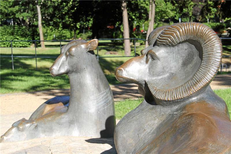 Die Mufflongruppe steht jetzt wieder mitten im Kurpark mit freiem Blick und in der Nähe der Radau-Freilegung.  Foto: Schlegel