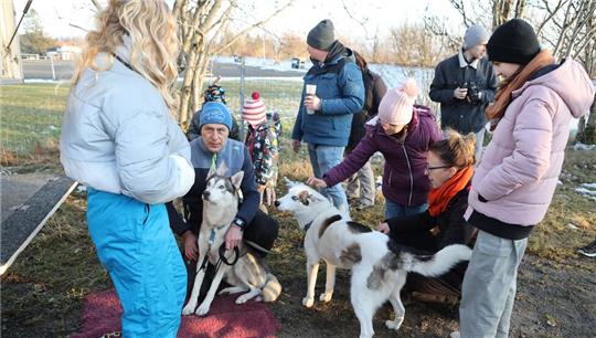 Die Musher beantworten geduldig die Fragen der Besucher, und manche der Hunde lassen sich auch streicheln.