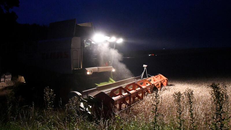 Die schlechteren Böden können in diesem Jahr profitieren Die Nacht bricht über die Har hinein – die Mähdrescher schieben sich mit ihren Scheinwerfern durch die Dunkelheit.