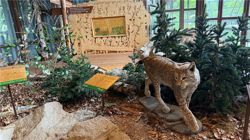 Braunlager Kommunalpolitik bringt Projekte auf den Weg Die Nationalpark-Ausstellung im Kurgastzentrum Braunlage soll aufgehübscht werden, kündigt BTG-Geschäftsführer Dirk Becker an.