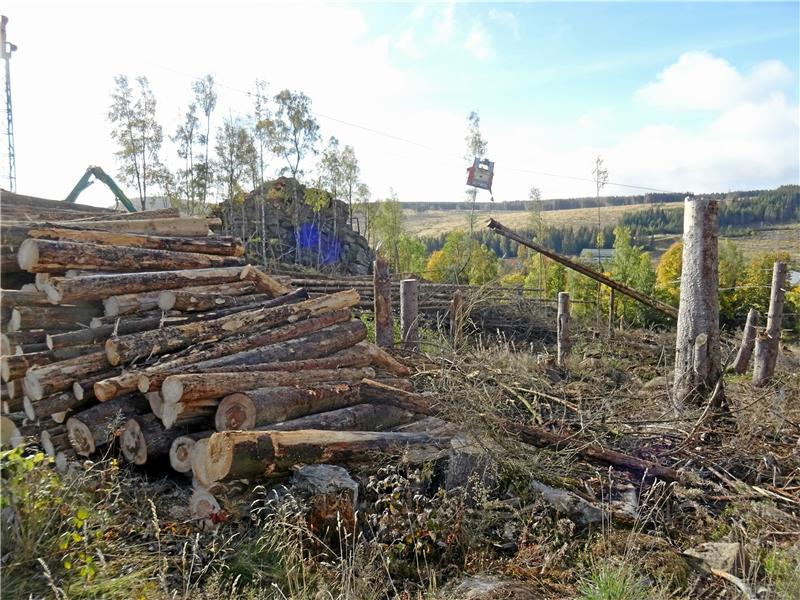 Nationalpark Harz stoppt Totholzräumung Die Nationalparkverwaltung lässt Totholz im Schutzgebiet räumen, die Arbeiten in der Nähe von Schierke sind unkritisch. Ein Eilantrag des Naturschutzbundes beim Verwaltungsgericht Magdeburg will weitere Arbeiten aber stoppen. Foto: Bauling