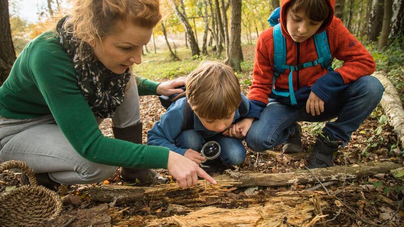 Warum es wichtig ist, mit Kindern Achtsamkeit zu üben Die Natur ist ein guter Ort, um bewusst Freiräume für Kinder zu schaffen und die Sinne zu schärfen.