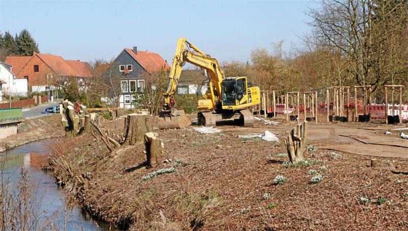 Ein Bagger steht an einem Flussufer, im Vordergrund Baumstuken, im Hintergrund neu gepflanzte Bäume.