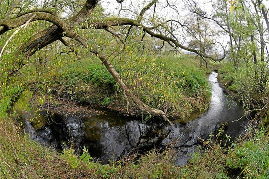 Die Nette nördlich und südlich von Rhüden ist berühmt für ihren mäandernden Verlauf – in Kurven schlängelt sie sich durch das Harzvorland.  Foto: Gereke