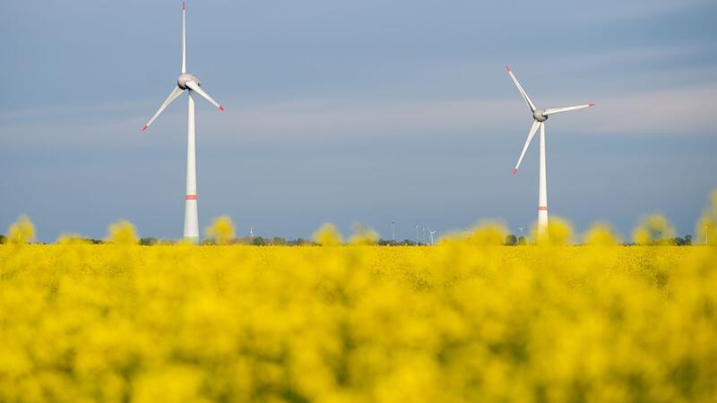 Erneut Rekord: Ausschreibungen für Windkraft ziehen an Die Netzagentur verzeichnet derzeit einen Boom bei der Genehmigung neuer Windenergieanlagen an Land. (Symbolbild)