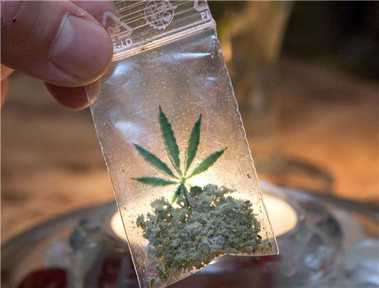 Die Niederlande starten ein Experiment mit dem Handel mit legal angebautem Marihuana.