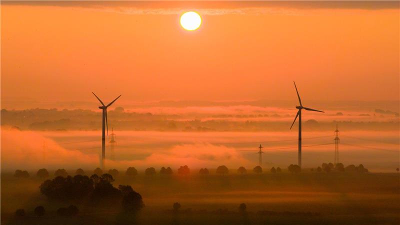 Die OECD fordert mehr Tempo beim Klimaschutz. (Archivbild)
