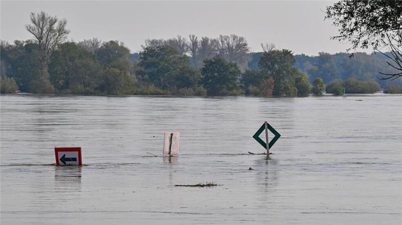 Hochwasser steigt - Erste Straßen an der Oder überflutet Die Oder bei Ratzdorf (Oder-Spree) „verschluckt“ inzwischen Schilder im Fluss. Der Pegelstand steigt auch noch weiter.