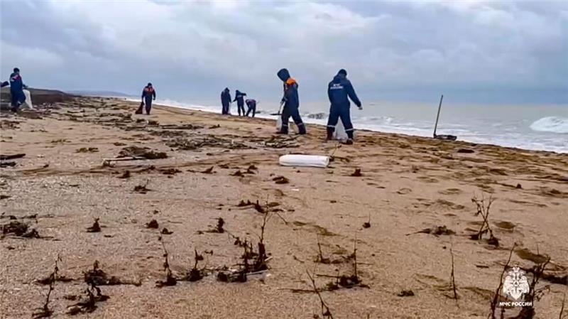 Immer mehr Delfine verenden wegen Ölpest im Schwarzen Meer Die Ölpest führt dazu, dass auch immer mehr Delfine verenden. (Archivfoto)