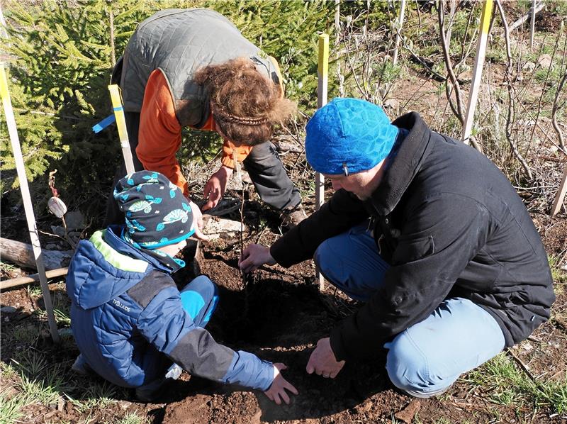 Harzklub-Nachwuchs pflanzt im "Wald für morgen" Die Okerstrolche vom Harzklub beteiligen sich an der Baumpflanzaktion des Vereins „Wald für morgen“. Foto: Hohaus