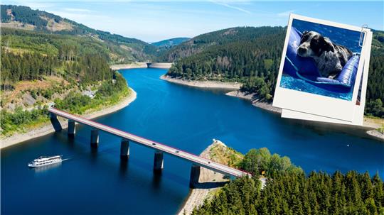 Die Okertalsperre ist beliebt bei Schwimmern.