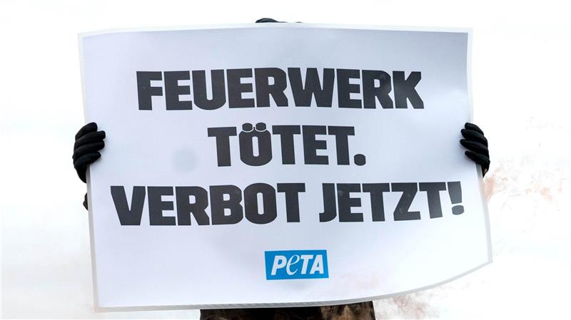 Die Organisation möchte ein privates Feuerwerk-Verbot erreichen.