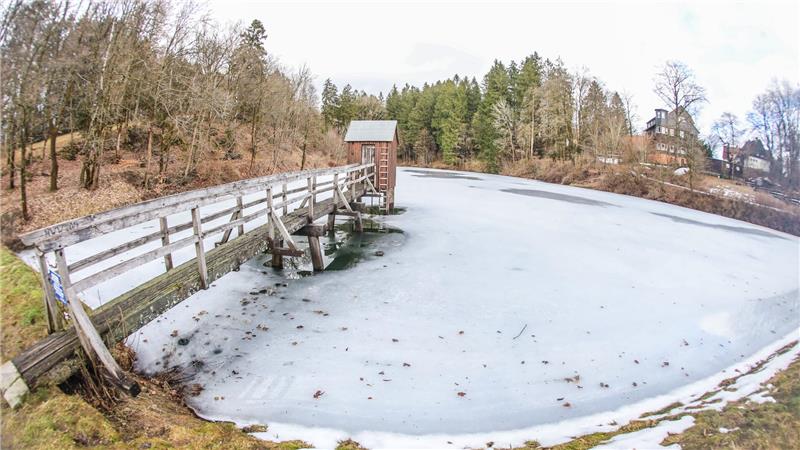 Der Carler Teich ist noch etwas zugefroren. 