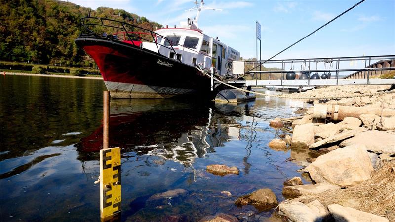 Negative Pegelwerte - Rekordniedrigwasser des Rheins Die Pegellatte in Kaub in Rheinland-Pfalz zeigt nur noch wenige Zentimeter an.