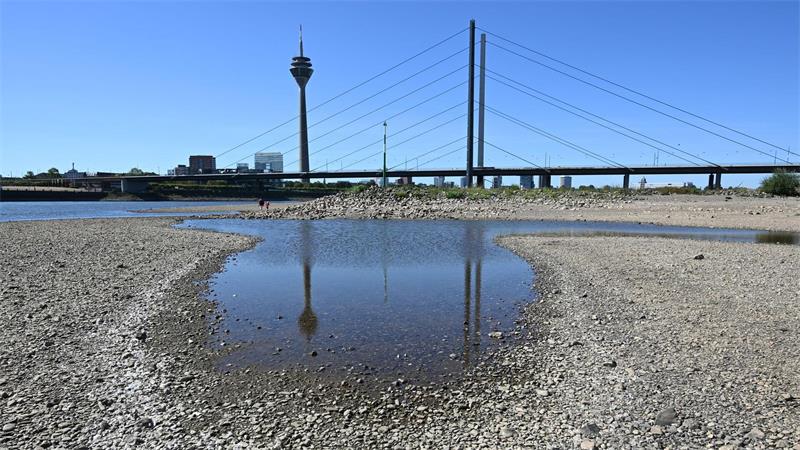 Die Pegelstände am Rhein lagen in diesem Sommer zeitweise auf historisch niedrigem Niveau.