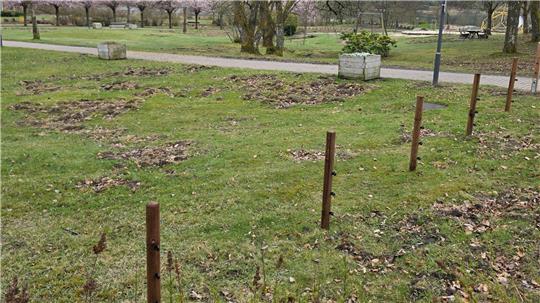 Grün bewachsene Fläche mit mehreren kleinen, braunen Pfosten in einer Reihe und Bäumen im Hintergrund