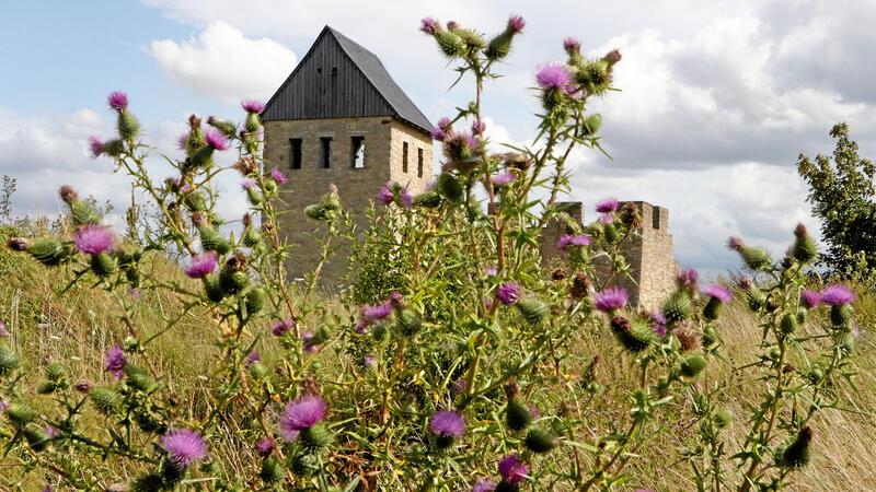 Die Pfalz Werla im Sommer: Für die Neugestaltung des Areals fließen jetzt Fördergelder.